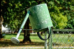 DIY Irrigation System for Toxins Free Garden