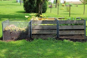 Your Own Compost Pile