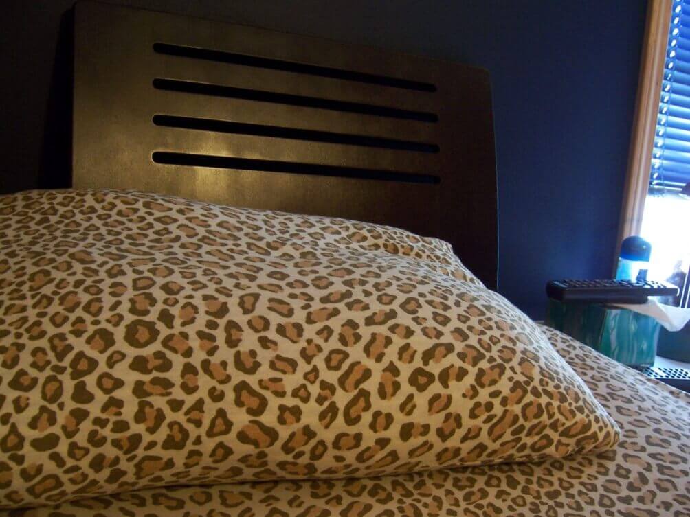 put any animal print as your room’s wallpaper