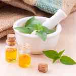 A Brief Overview on Peppermint Essential Oil